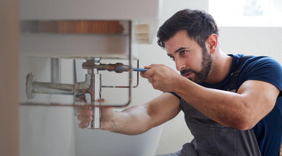 Trap Repair/Replacement in Lena, IL